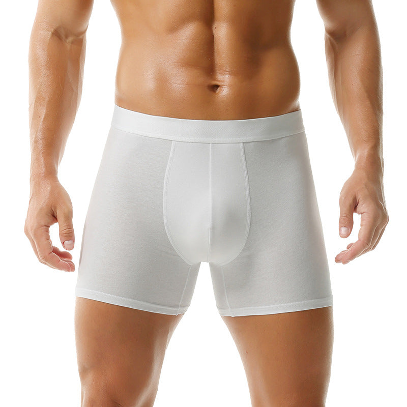 Boxer Sports Summer Underwear Men's Cotton 2025 New = Men's Underwear