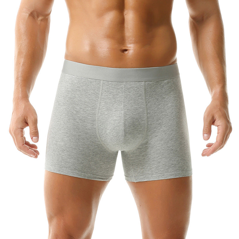Boxer Sports Summer Underwear Men's Cotton 2025 New = Men's Underwear