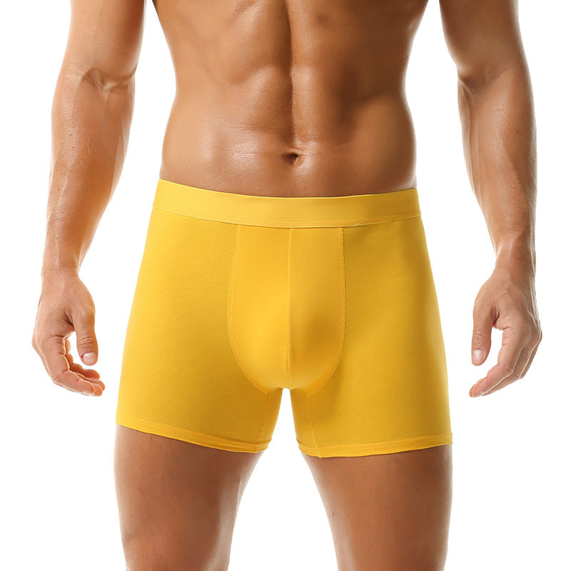 Boxer Sports Summer Underwear Men's Cotton 2025 New = Men's Underwear