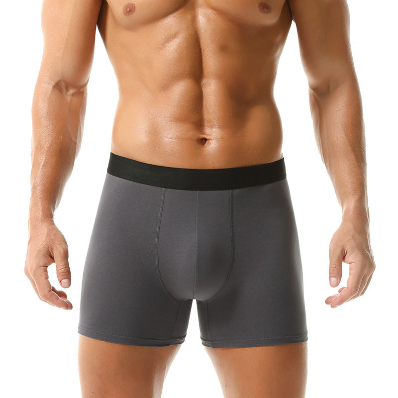 Boxer Sports Summer Underwear Men's Cotton 2025 New = Men's Underwear