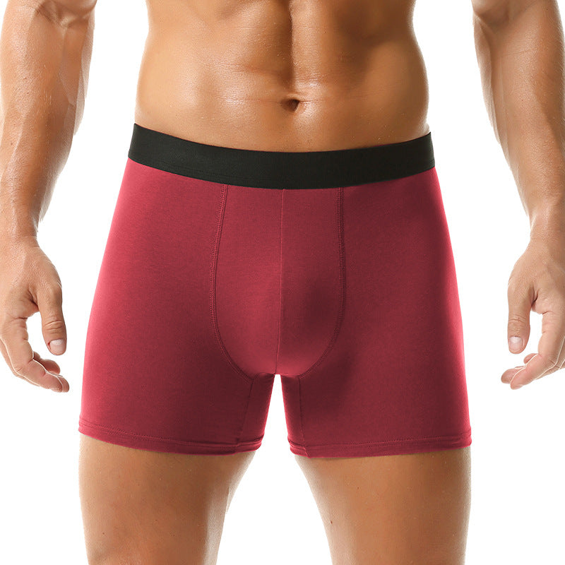 Boxer Sports Summer Underwear Men's Cotton 2025 New = Men's Underwear