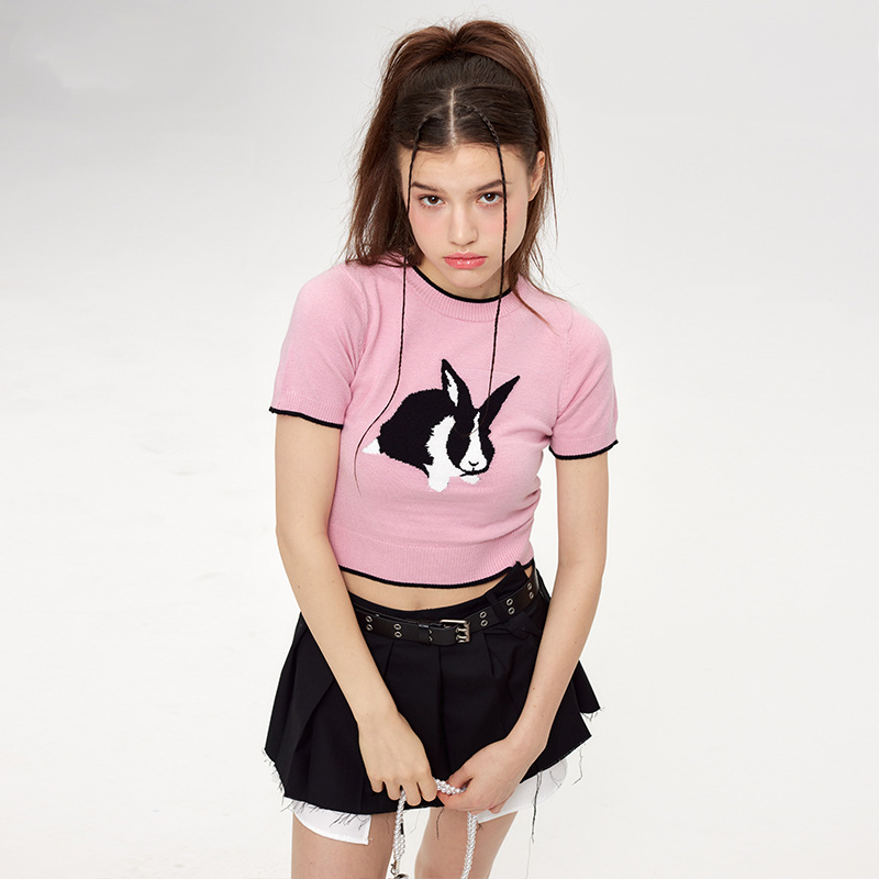 Japanese Sweet Cute Rabbit Chic Design Female Spring Rabbit Hot Girl Short Slim Knitted T-Shirt