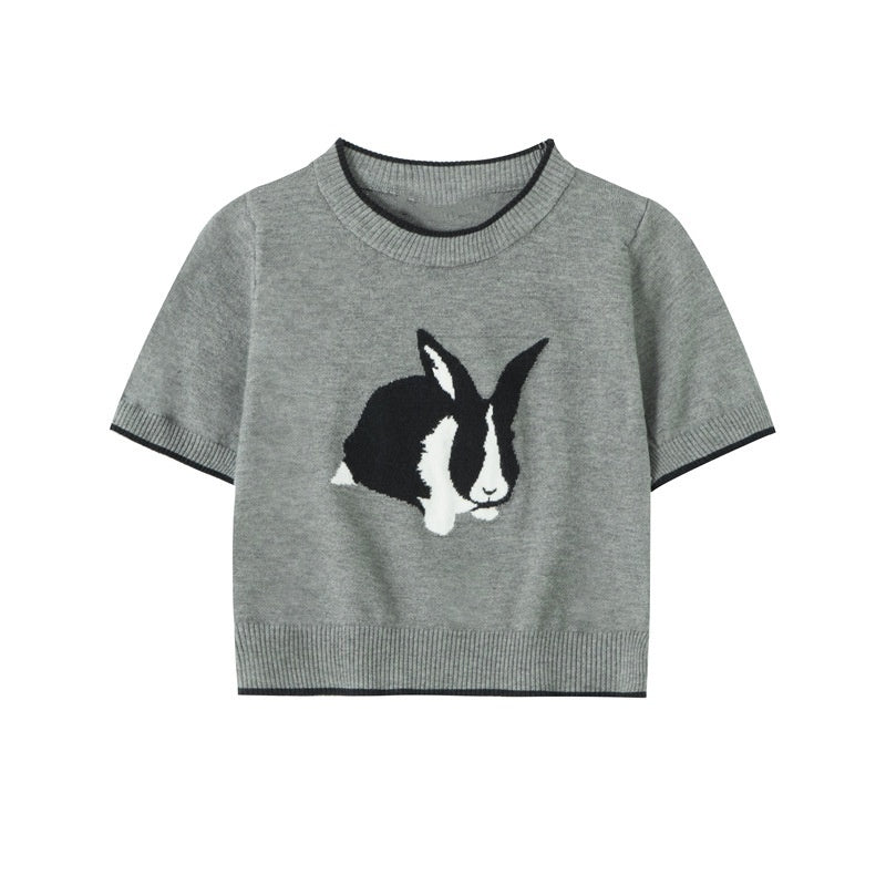 Japanese Sweet Cute Rabbit Chic Design Female Spring Rabbit Hot Girl Short Slim Knitted T-Shirt