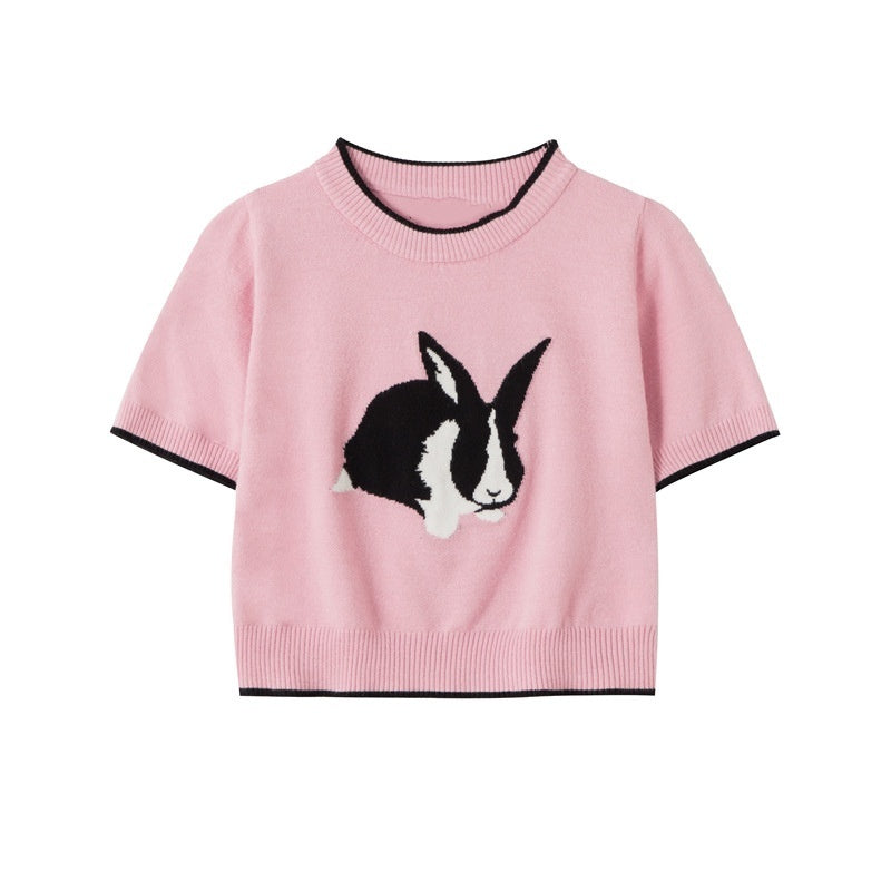 Japanese Sweet Cute Rabbit Chic Design Female Spring Rabbit Hot Girl Short Slim Knitted T-Shirt