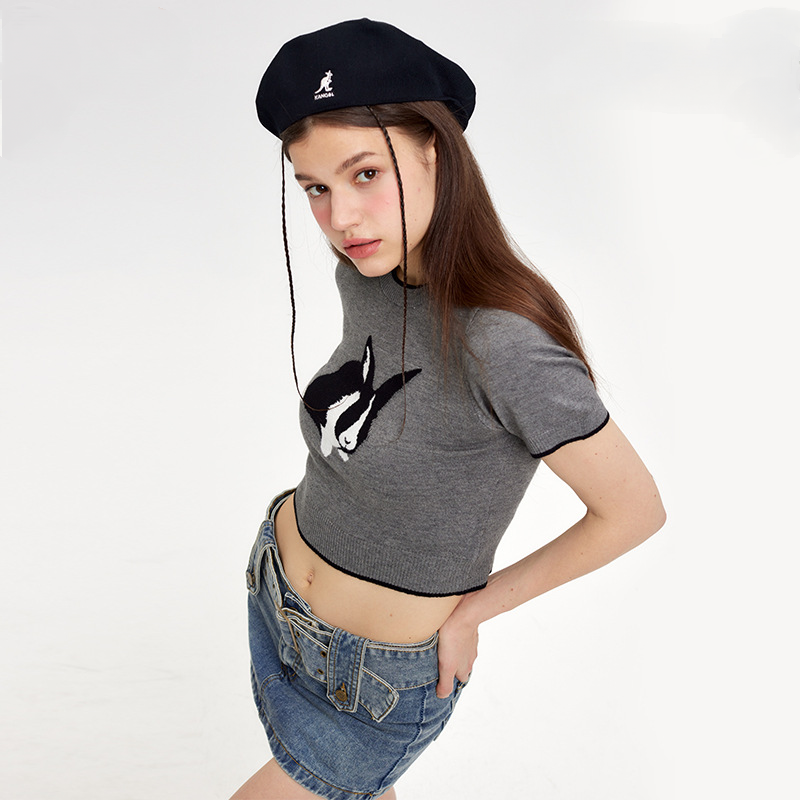 Japanese Sweet Cute Rabbit Chic Design Female Spring Rabbit Hot Girl Short Slim Knitted T-Shirt
